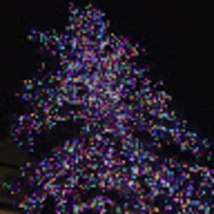 Meet your Posher, Angelina